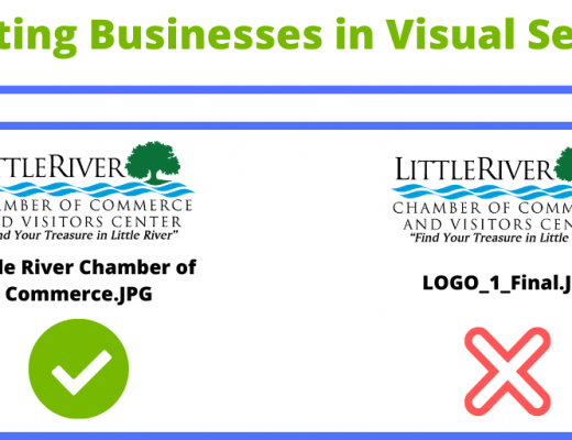Promoting Businesses in Visual Searches