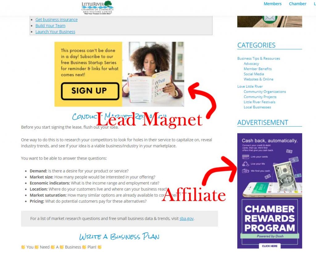 Example of lead magnet and affiliate promotions on a blog post